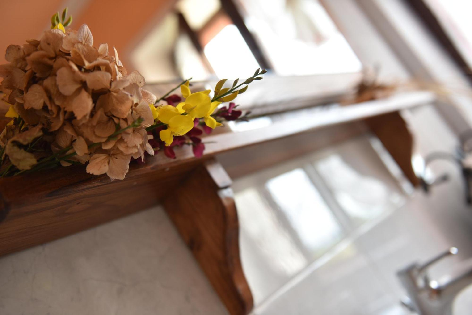 Farm stay Le Casaline *